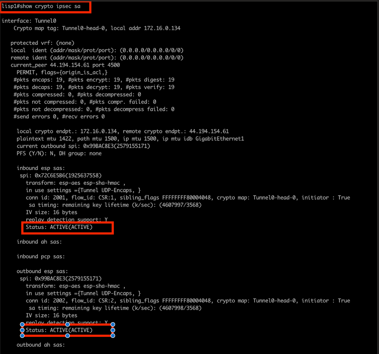 IPSec Status