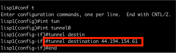 Router CLI Output